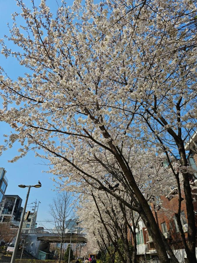 Arex Hongik Station 3min Seoul
